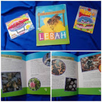 JALAN-JALAN KE PETERNAKAN LEBAH