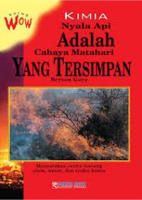 NYALA API ADALAH CAHAYA MATAHARI YANG TERSEMBUNYI